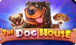 iLucki – The Dog House